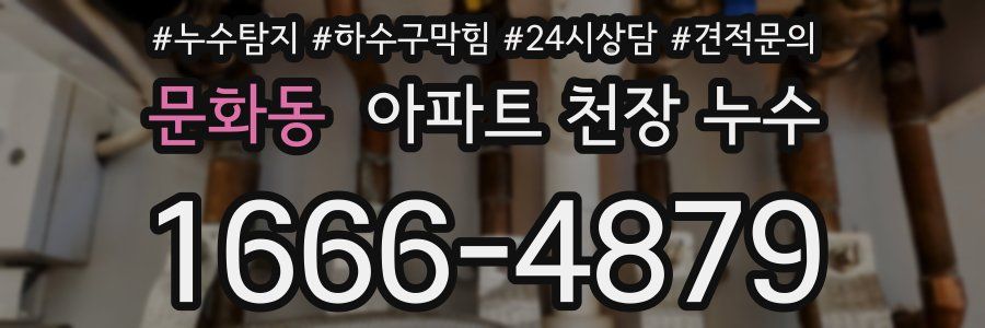 문화동 아파트 천장 누수