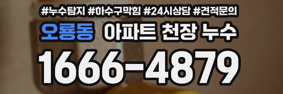 오룡동 아파트 천장 누수