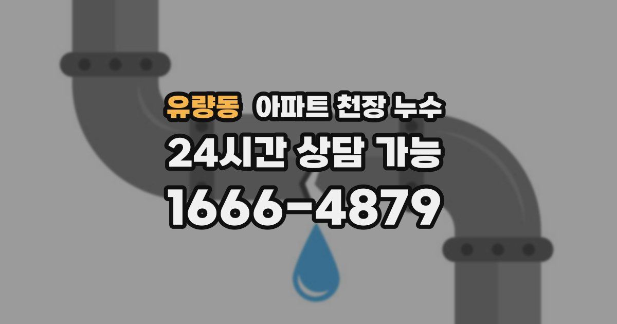 유량동 아파트 천장 누수