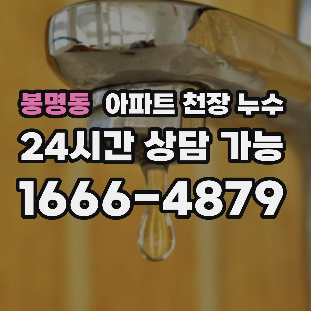 봉명동 아파트 천장 누수