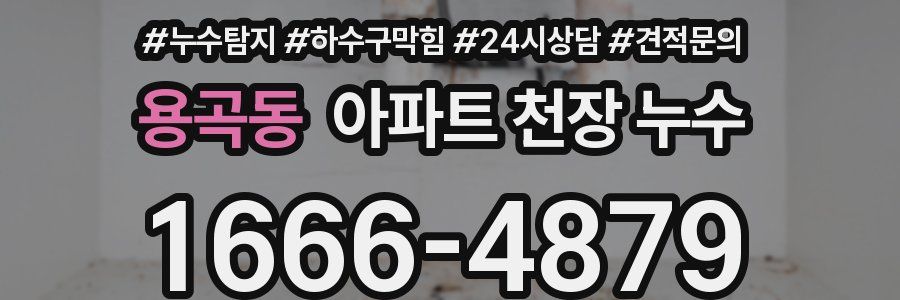 용곡동 아파트 천장 누수