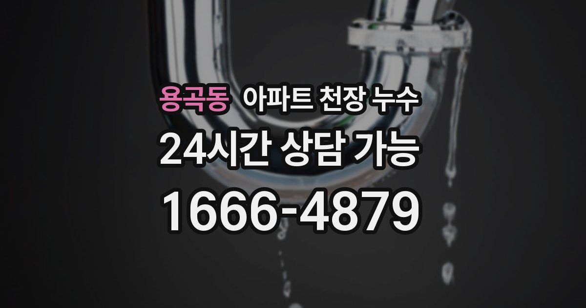 용곡동 아파트 천장 누수
