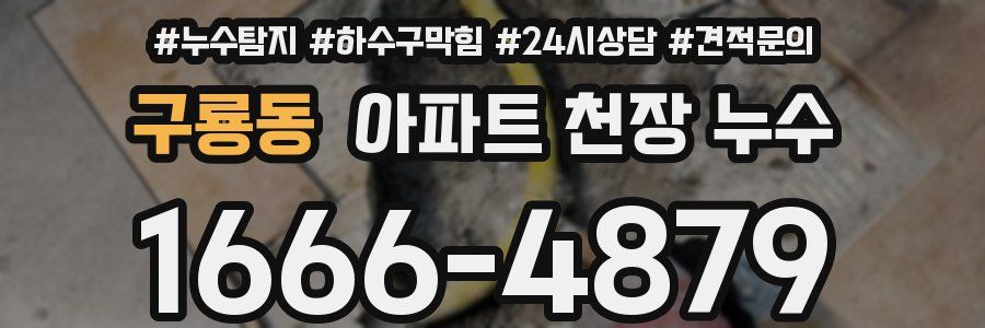 구룡동 아파트 천장 누수