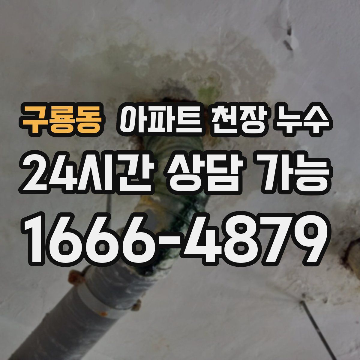 구룡동 아파트 천장 누수