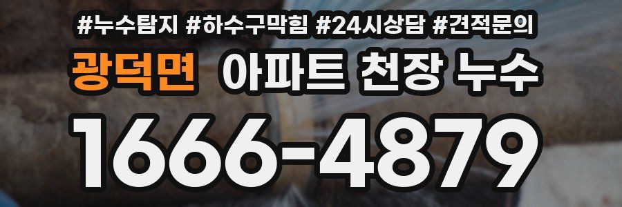 광덕면 아파트 천장 누수