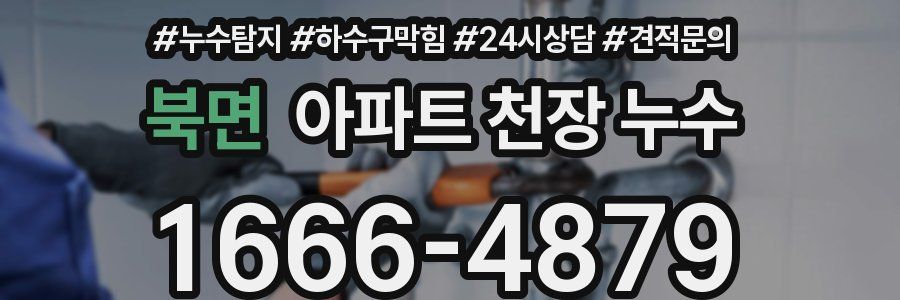 북면 아파트 천장 누수