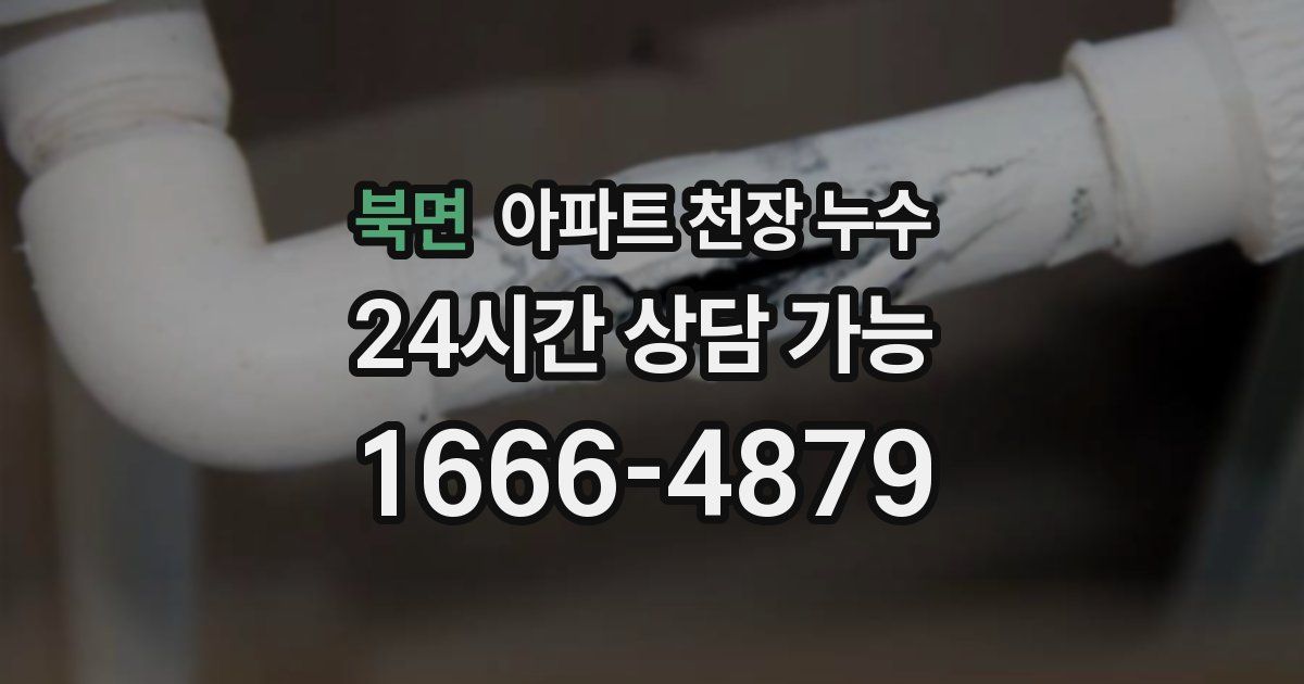 북면 아파트 천장 누수