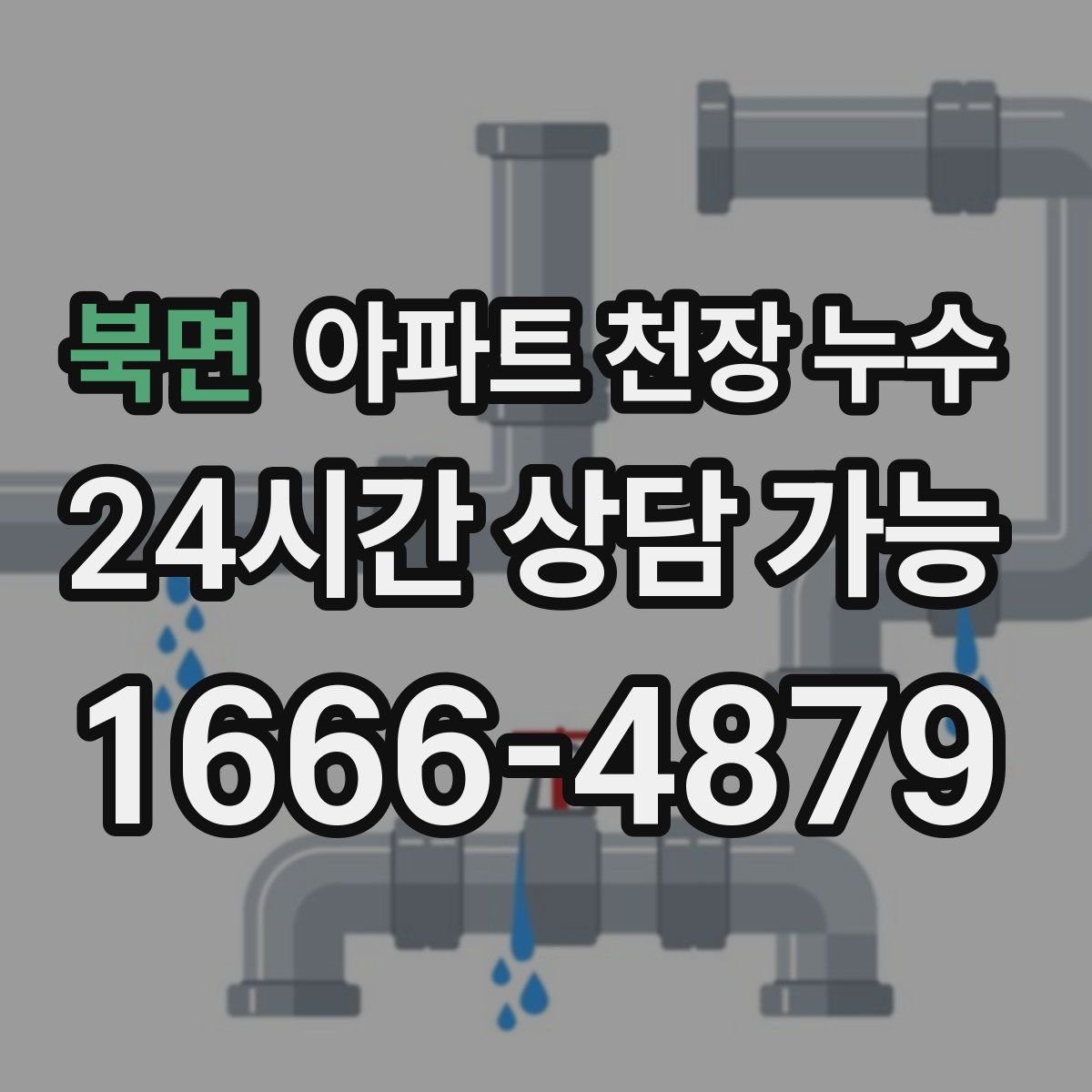 북면 아파트 천장 누수