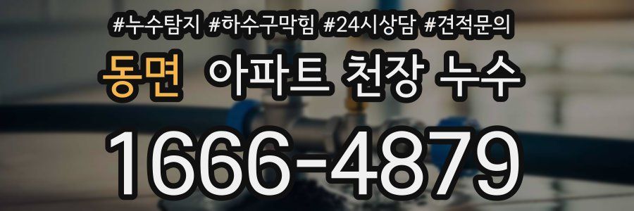 동면 아파트 천장 누수