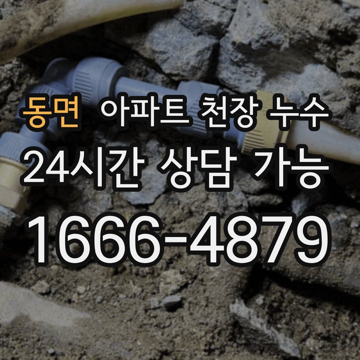 동면 아파트 천장 누수