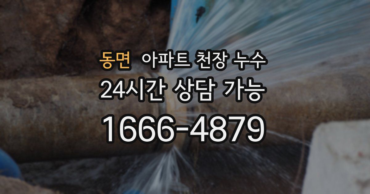 동면 아파트 천장 누수