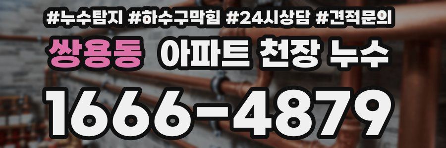 쌍용동 아파트 천장 누수