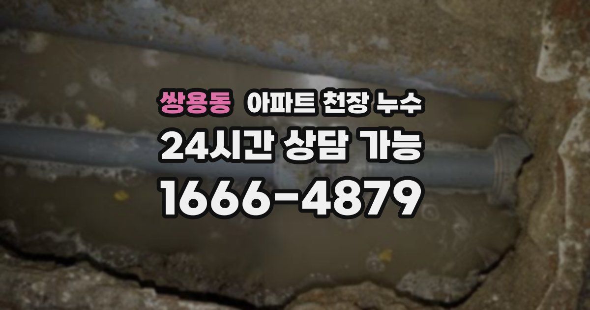 쌍용동 아파트 천장 누수