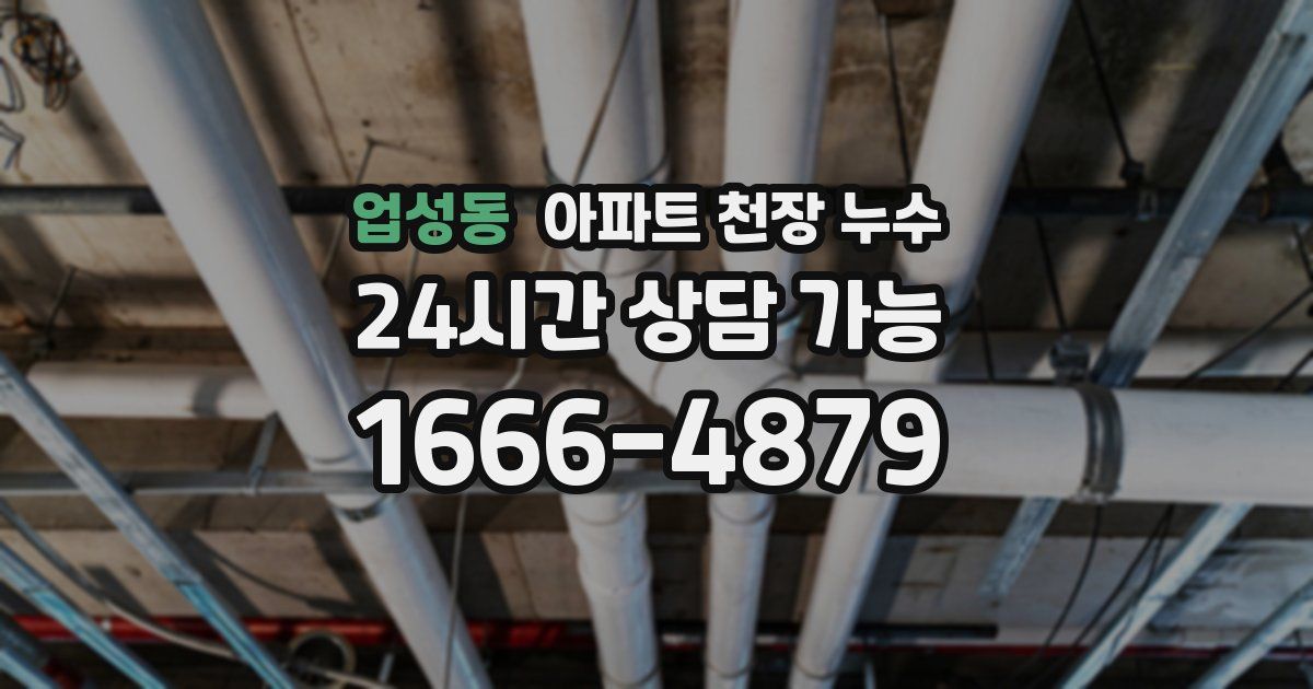 업성동 아파트 천장 누수