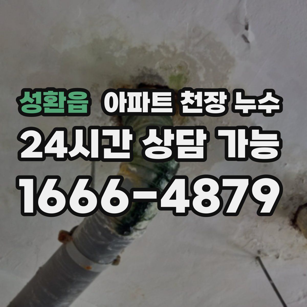 성환읍 아파트 천장 누수