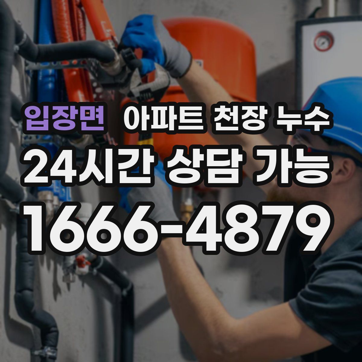 입장면 아파트 천장 누수