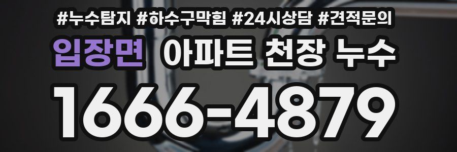 입장면 아파트 천장 누수