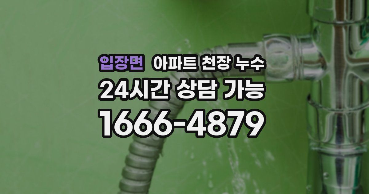 입장면 아파트 천장 누수