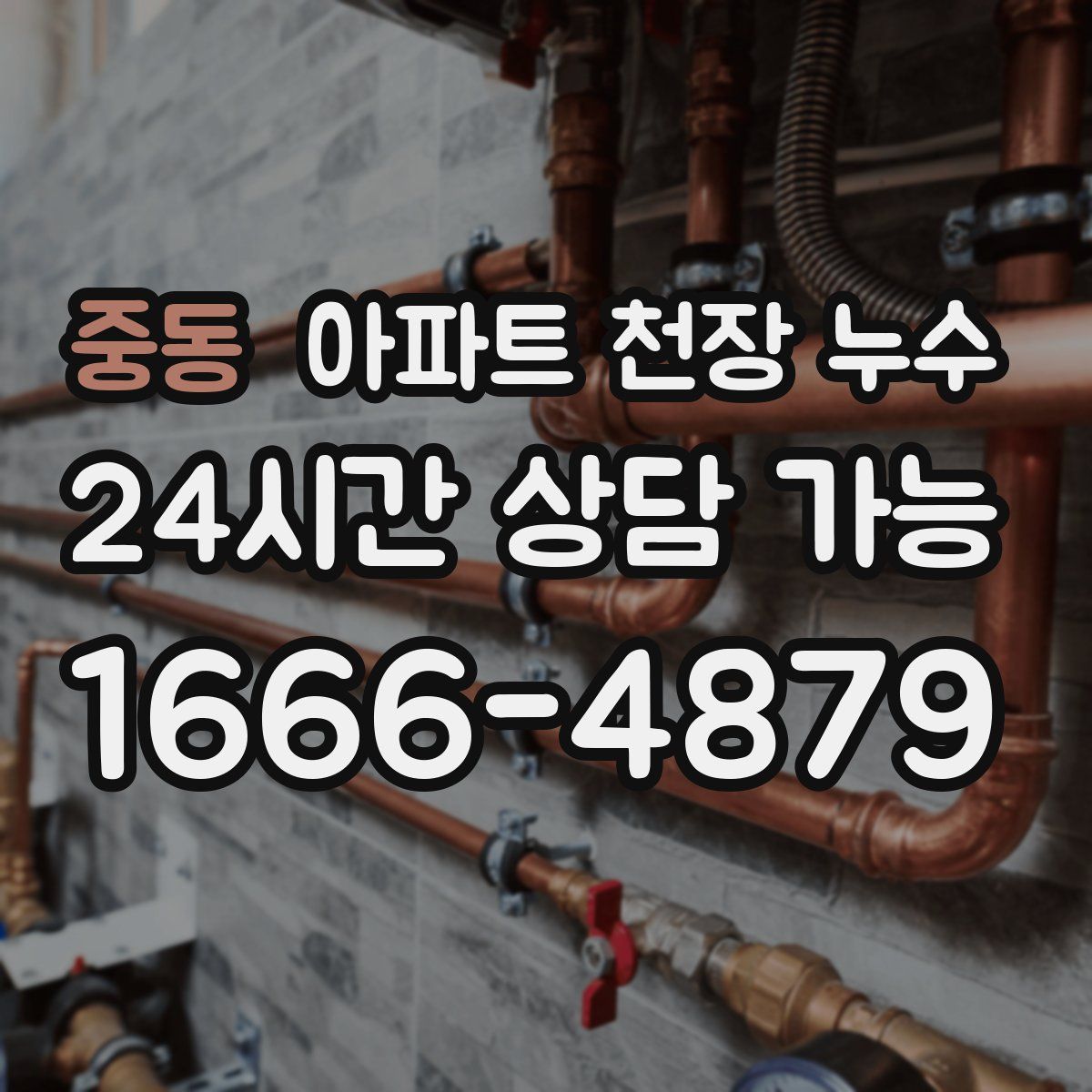 중동 아파트 천장 누수