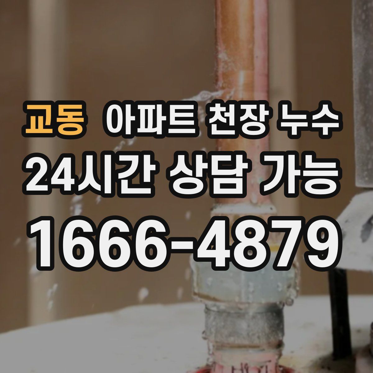 교동 아파트 천장 누수