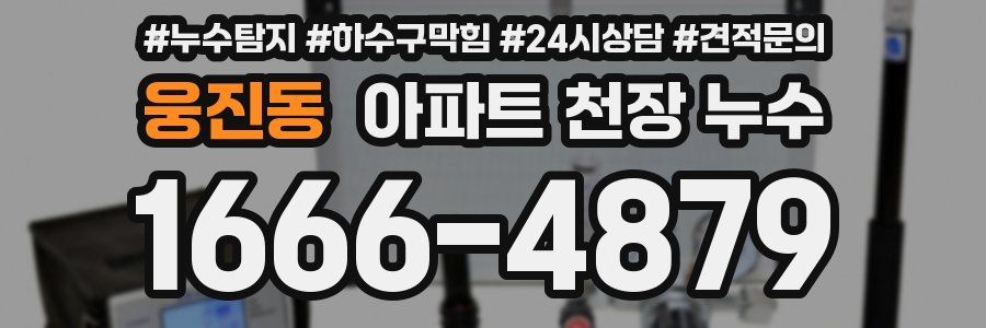 웅진동 아파트 천장 누수