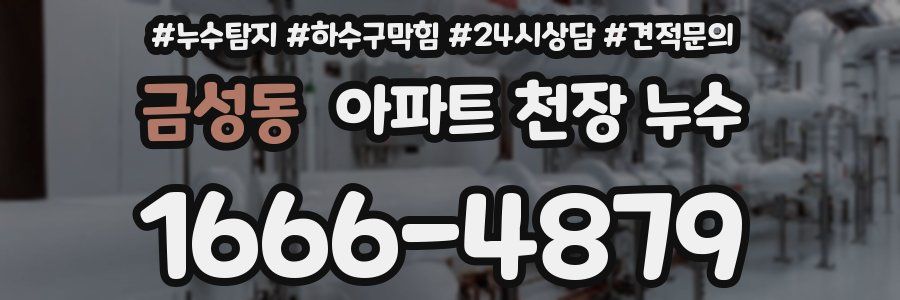 금성동 아파트 천장 누수