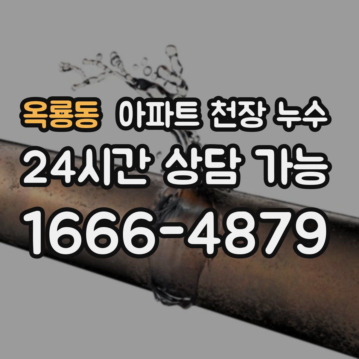 옥룡동 아파트 천장 누수