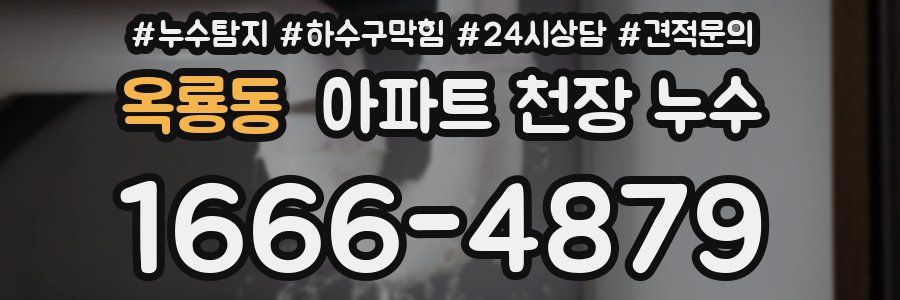 옥룡동 아파트 천장 누수