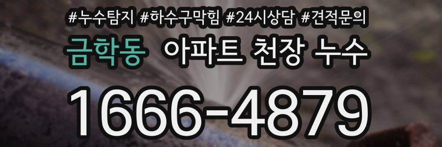 금학동 아파트 천장 누수