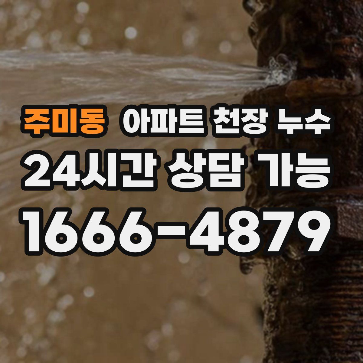 주미동 아파트 천장 누수