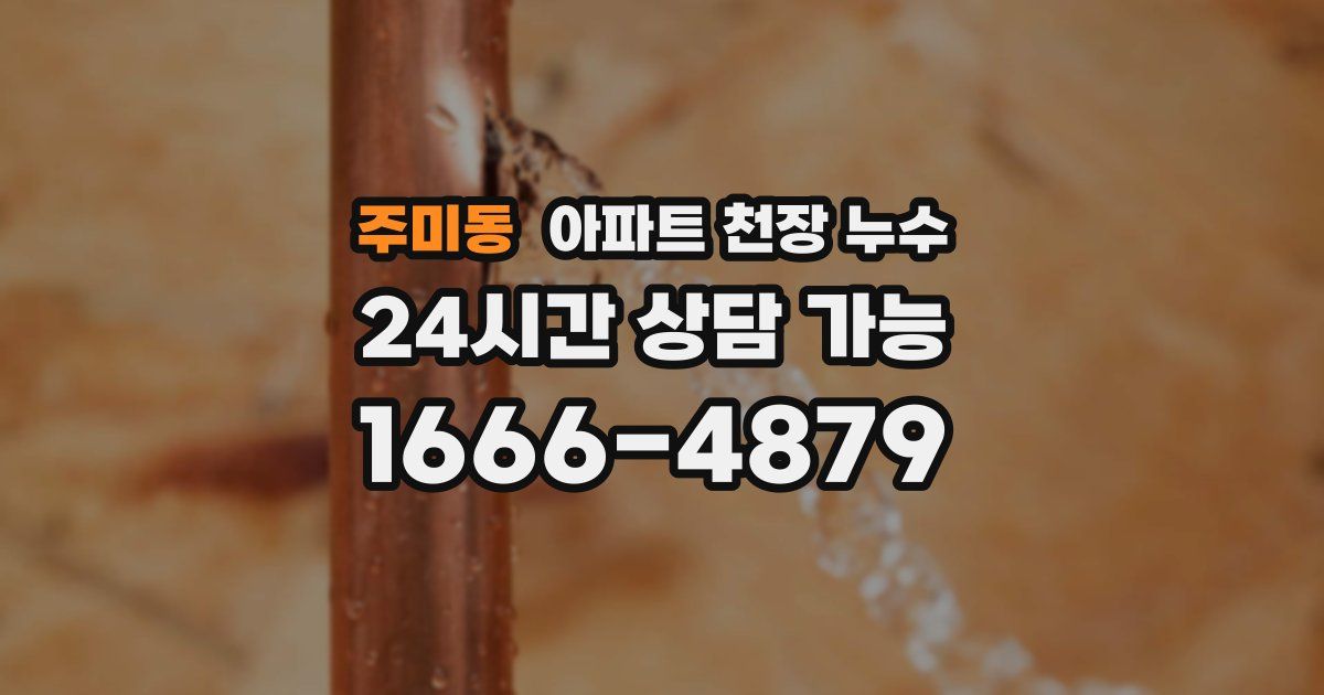 주미동 아파트 천장 누수