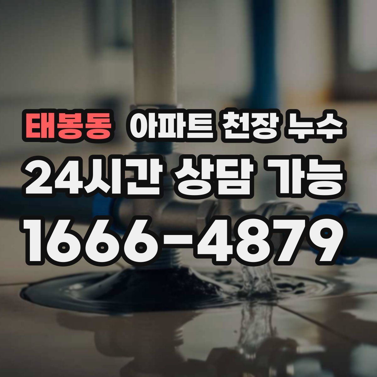 태봉동 아파트 천장 누수