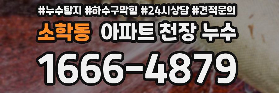 소학동 아파트 천장 누수