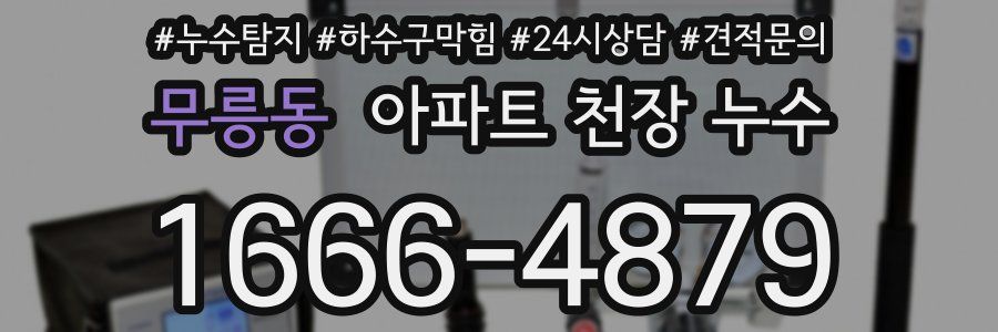 무릉동 아파트 천장 누수