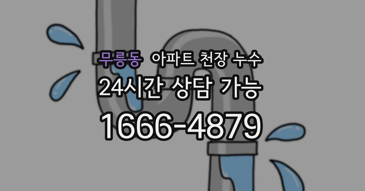 무릉동 아파트 천장 누수