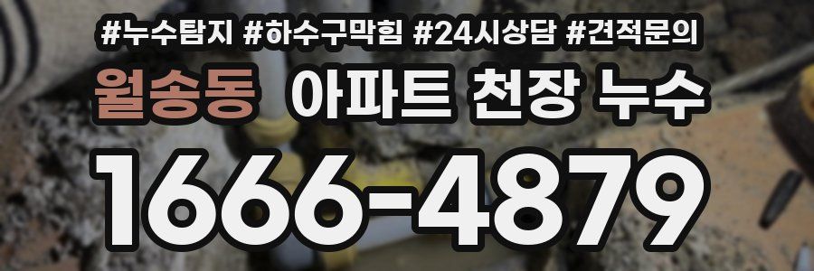 월송동 아파트 천장 누수