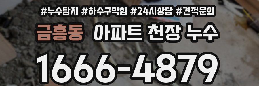 금흥동 아파트 천장 누수