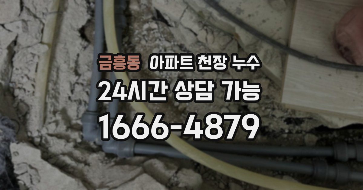 금흥동 아파트 천장 누수