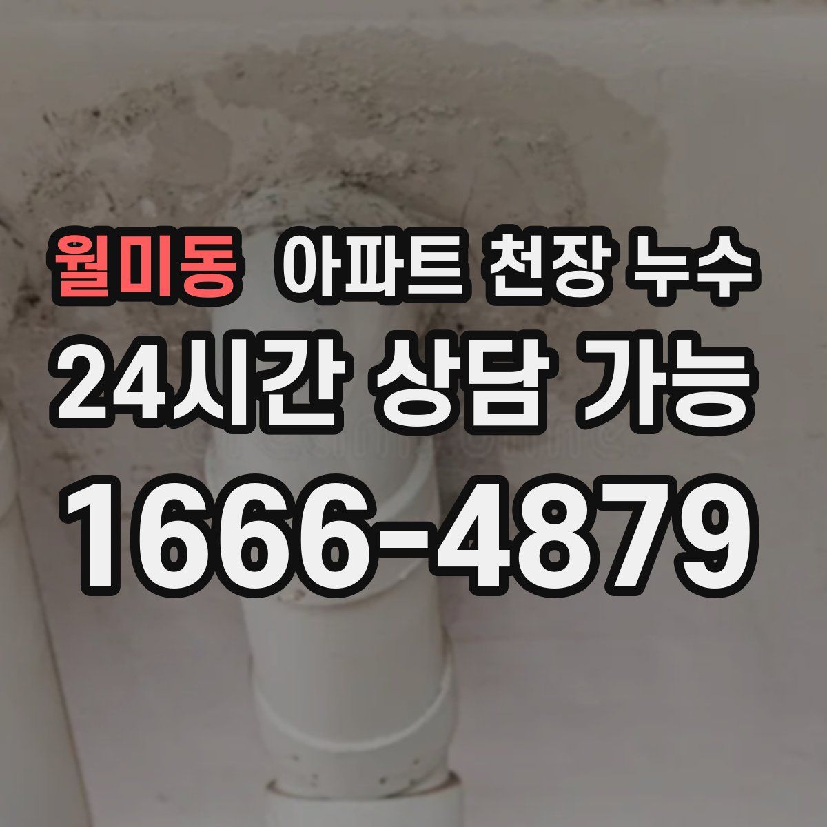 월미동 아파트 천장 누수