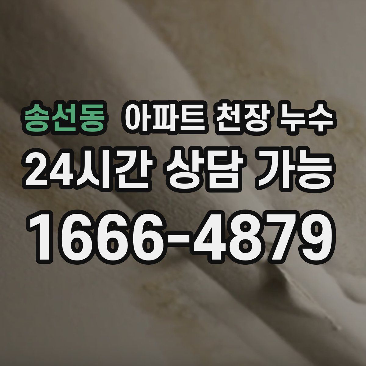 송선동 아파트 천장 누수