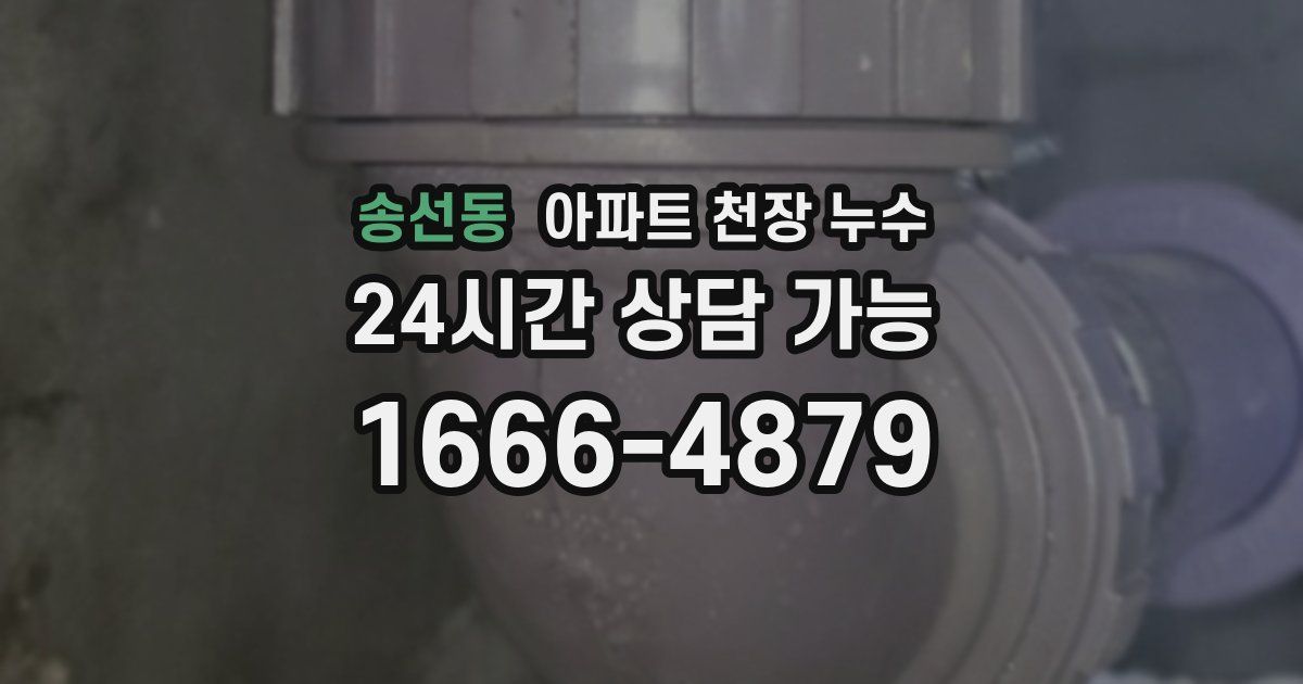 송선동 아파트 천장 누수