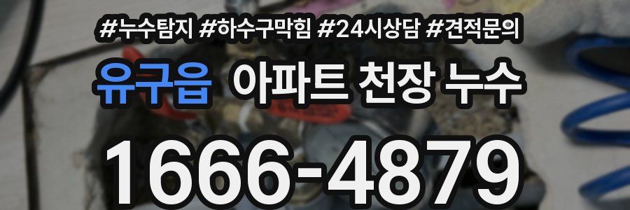 유구읍 아파트 천장 누수