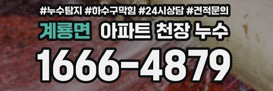 계룡면 아파트 천장 누수