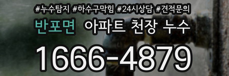 반포면 아파트 천장 누수