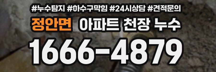 정안면 아파트 천장 누수