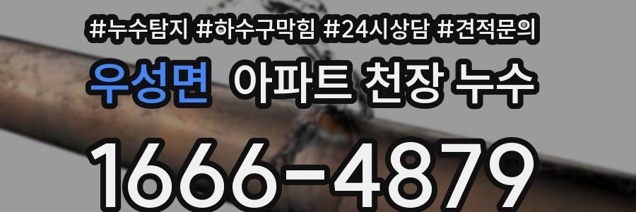 우성면 아파트 천장 누수