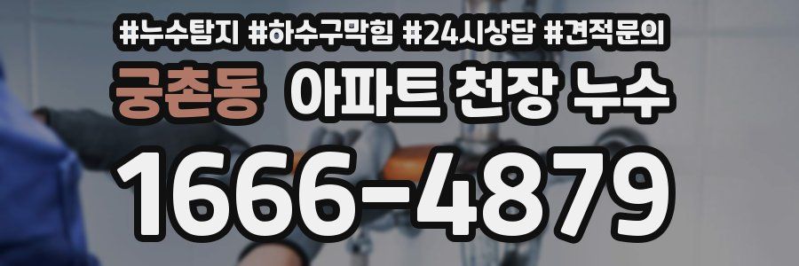 궁촌동 아파트 천장 누수
