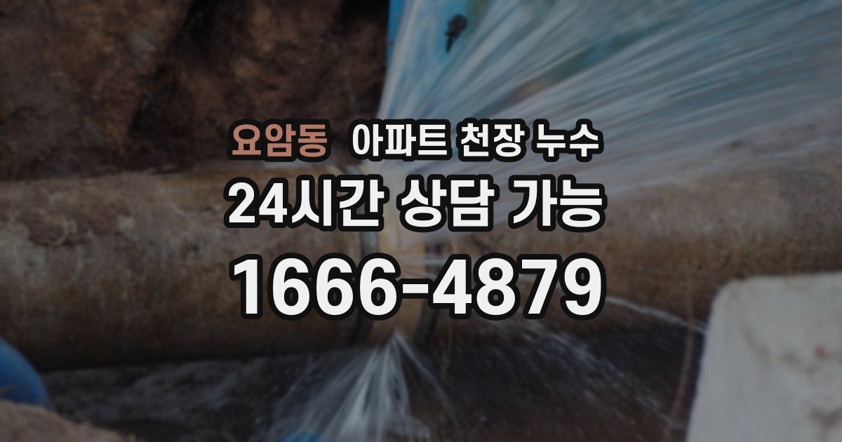 요암동 아파트 천장 누수