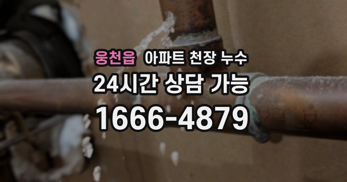 웅천읍 아파트 천장 누수