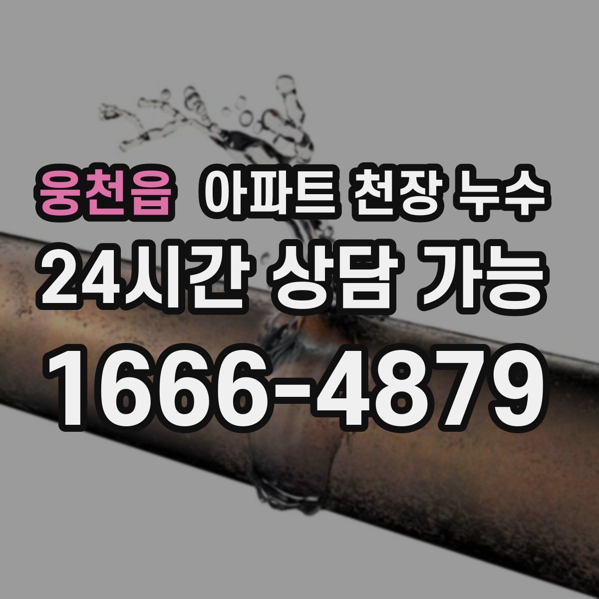 웅천읍 아파트 천장 누수